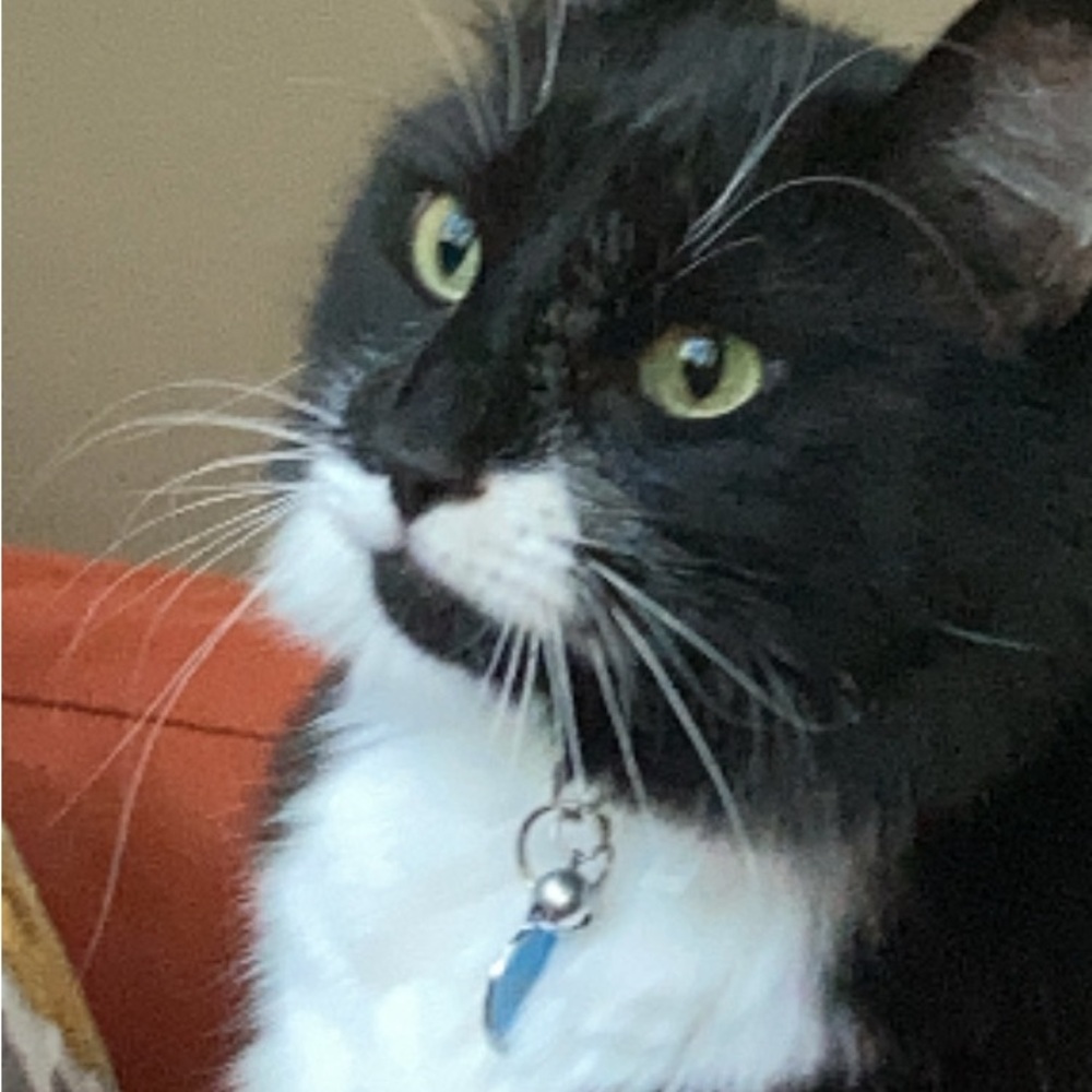 Meet your Posher, Nadia